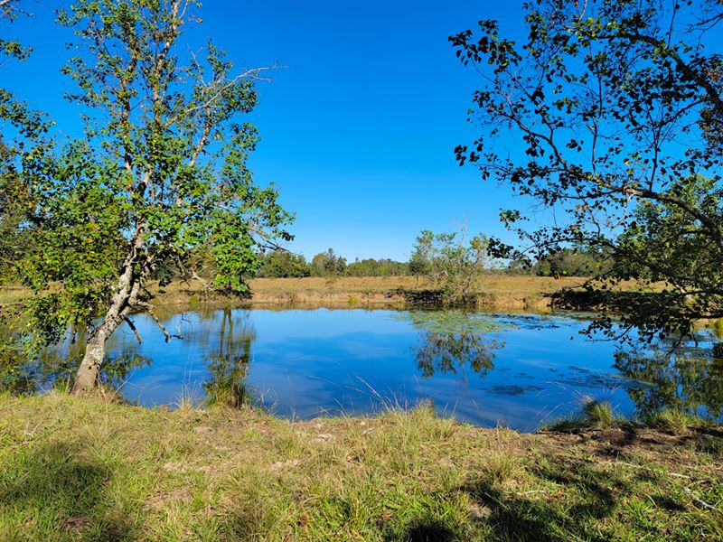 67 Acres, CR 2058 : Hardin : Liberty County : Texas