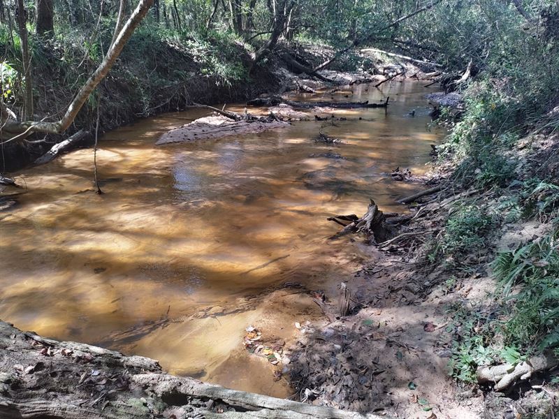 Eleven is Enough : Elba : Coffee County : Alabama