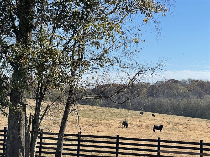 Beautiful Working Farm : Buckhead : Morgan County : Georgia