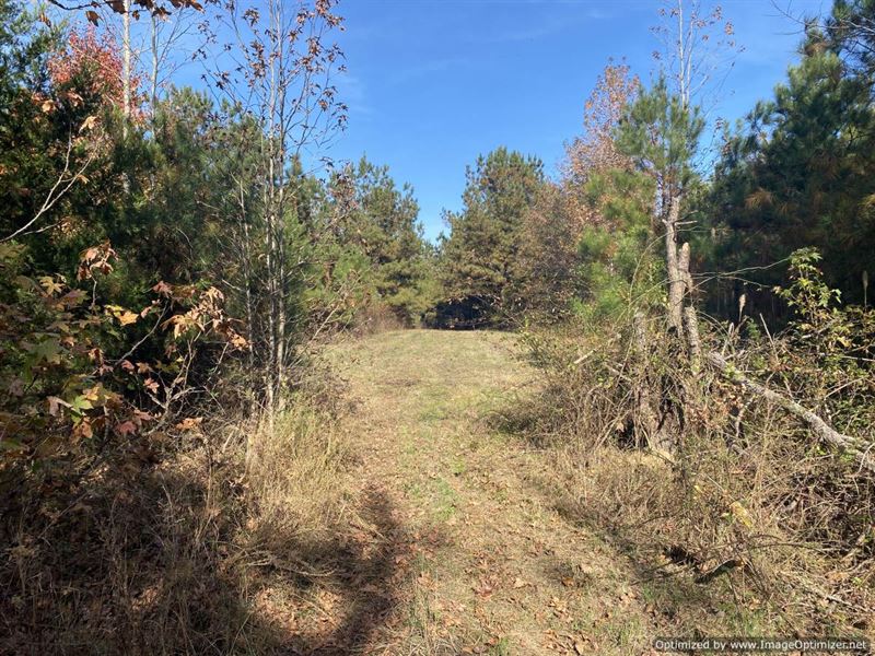 44 AC Hunting Land, Holmes County : Lexington : Holmes County : Mississippi