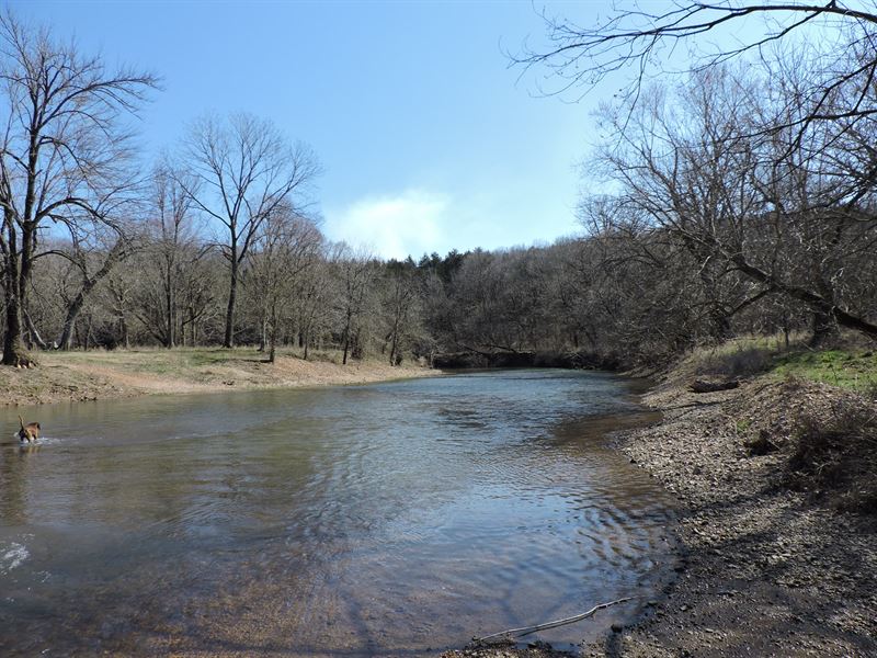 Well Established Cattle Farm : Evening Shade : Sharp County : Arkansas