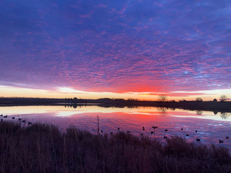 Stove Creek Outdoors : Elmwood : Cass County : Nebraska