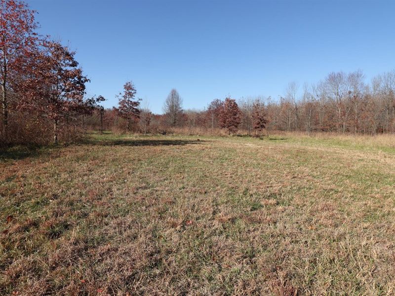 116 Acres Near Batesville, AR : Moorefield : Independence County : Arkansas