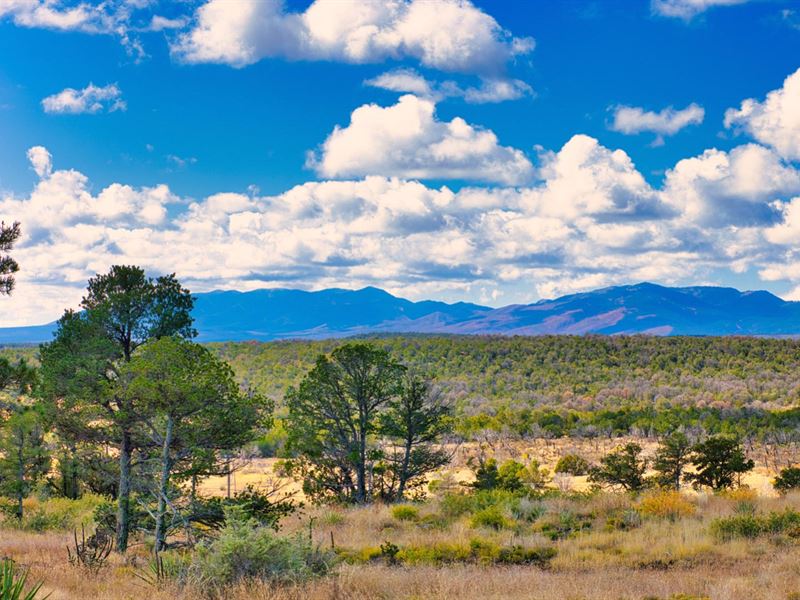 Power, Internet, & Road Access : Estancia : Torrance County : New Mexico