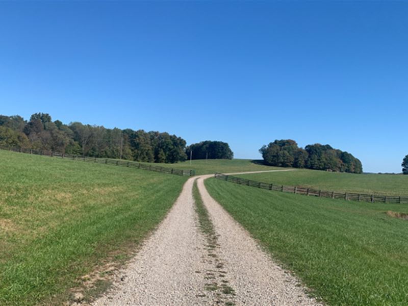 Large 74 Acres Near Hocking Hills : McArthur : Vinton County : Ohio