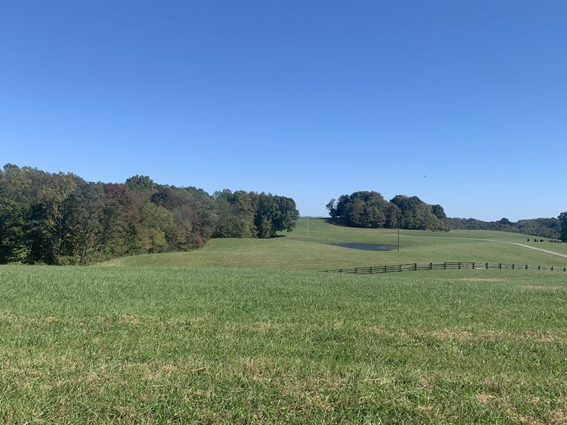Nice 29 Acres Near Hocking Hills : McArthur : Vinton County : Ohio