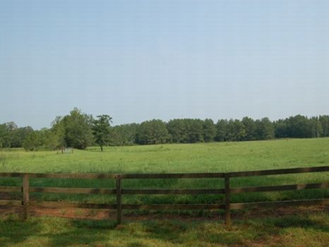 Mini Ranch : Pavo : Brooks County : Georgia