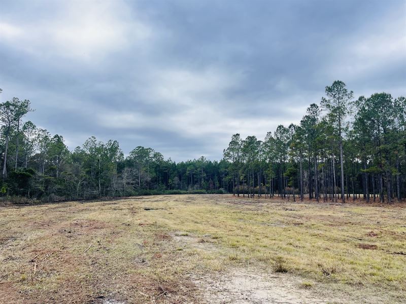 16.55 Acres, Trotter Ln : Callahan : Nassau County : Florida