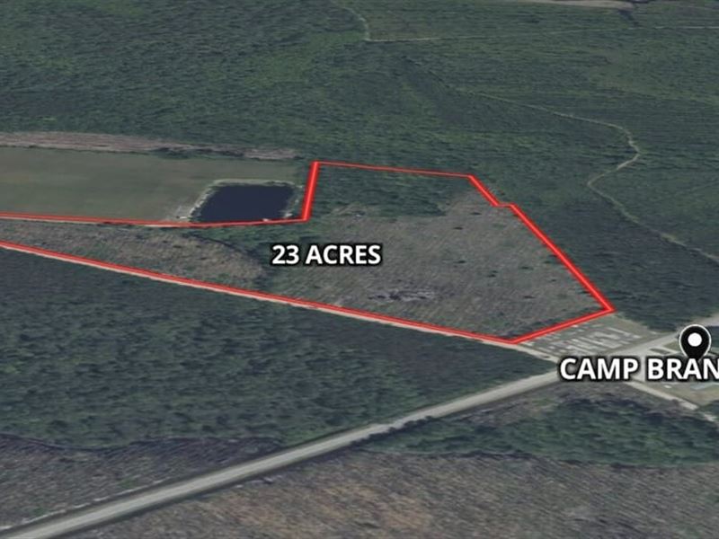 23 Acres on Camp Branch Cross Rd : Waycross : Ware County : Georgia