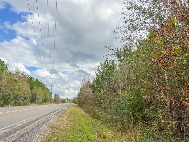 44 Ac, FM 787 : Rye : Liberty County : Texas