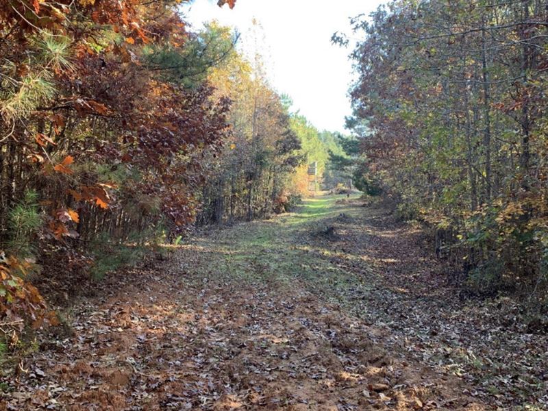 80 Ac Newton County : Covington : Newton County : Georgia