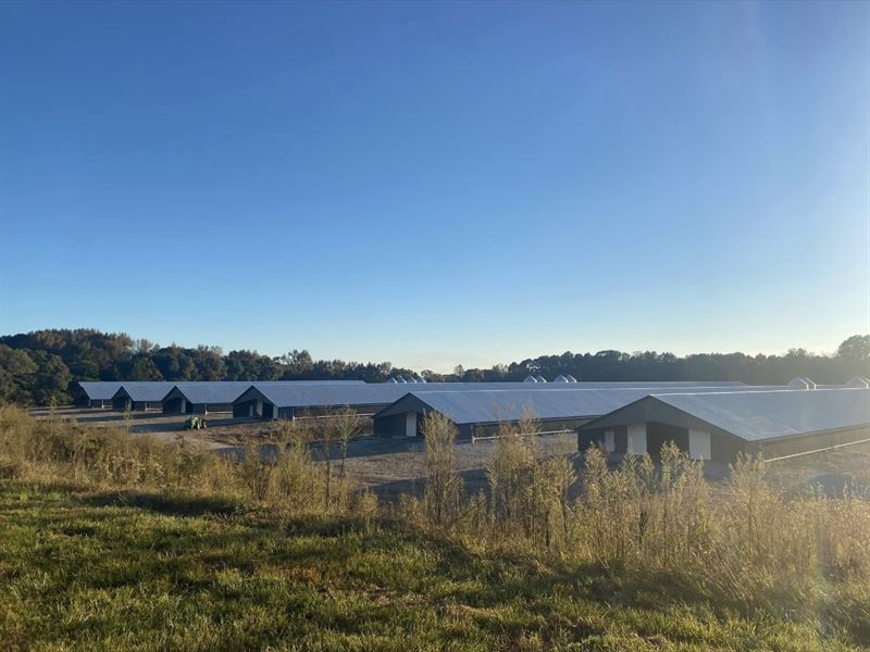10 Houses Poultry Farm for Sale : Maxton : Robeson County : North Carolina