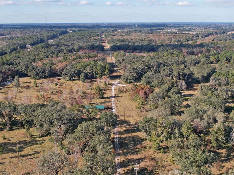 Andrews South Ranch : Chiefland : Levy County : Florida