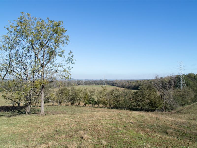 Auction, 117 Ac Family Farm : Mount Pleasant : Maury County : Tennessee