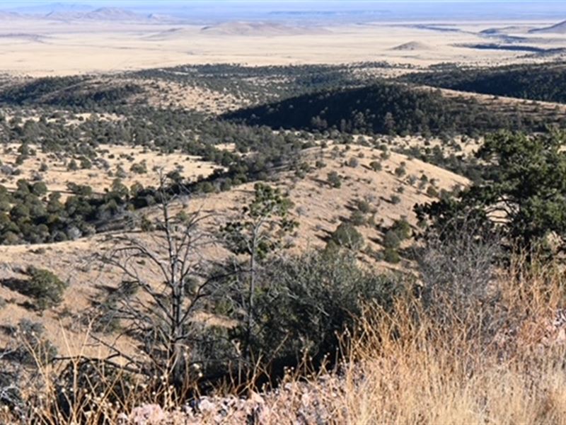 Gold Mine Ranch : Magdalena : Socorro County : New Mexico