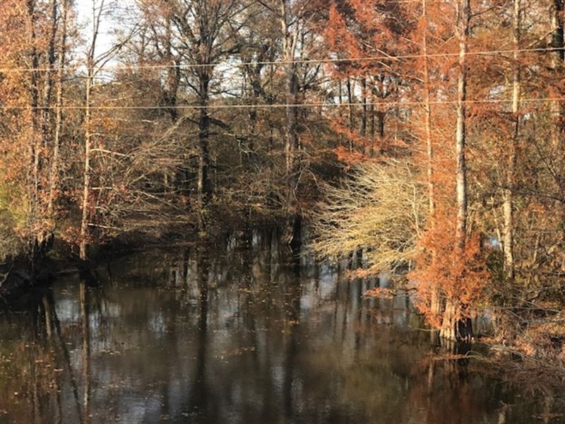 La, Caldwell 173 Acres : Columbia : Caldwell Parish : Louisiana