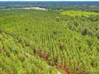 Timberland Investment, Ware County : Waycross : Ware County : Georgia