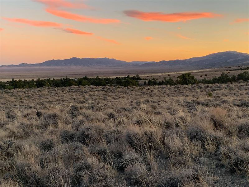 Perfect Property on a Budget : Montello : Elko County : Nevada