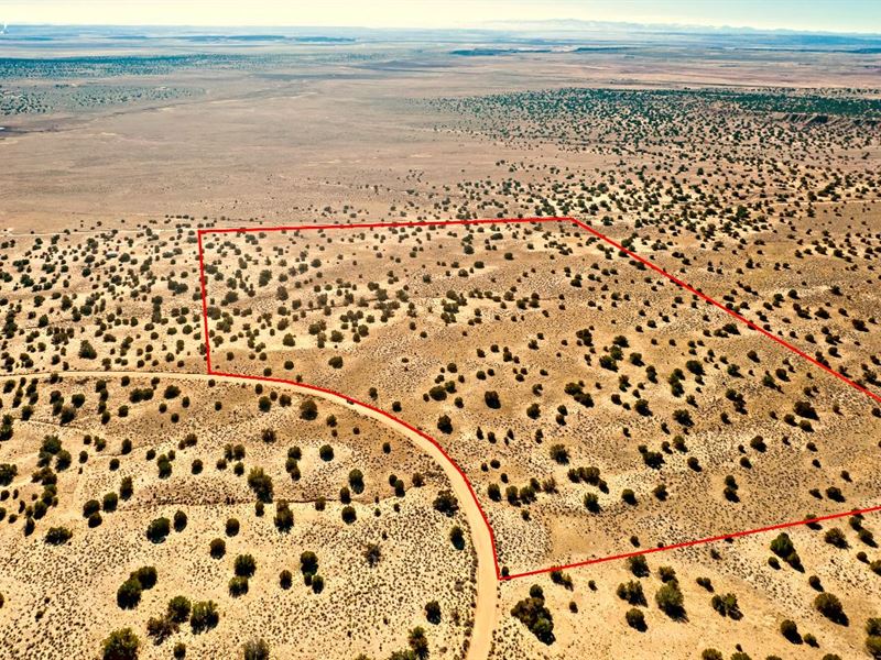 70 Ac, Apache County, AZ $7800 Down : Saint Johns : Apache County : Arizona