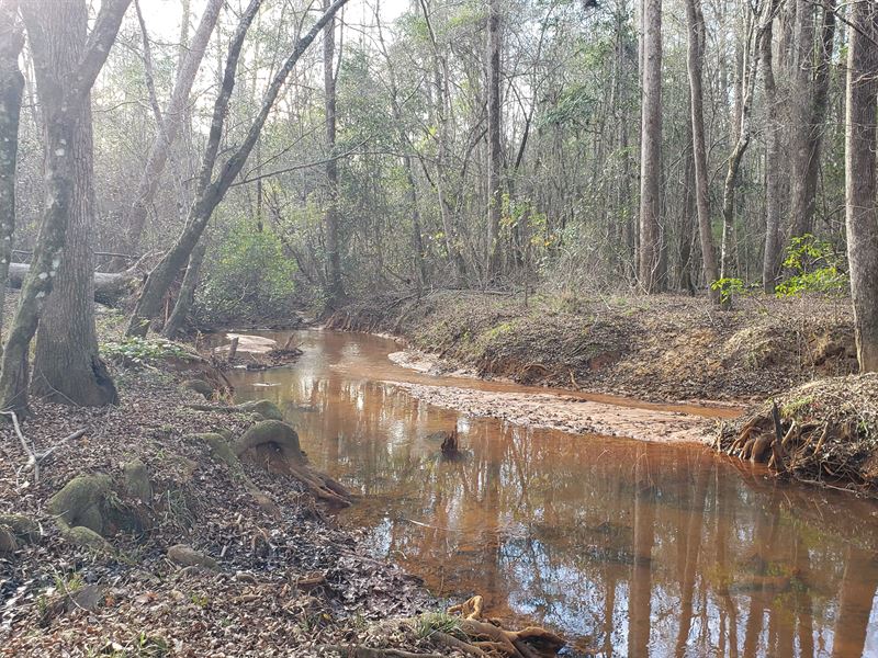 Great Hunting and Timber on Creek : Lumpkin : Stewart County : Georgia