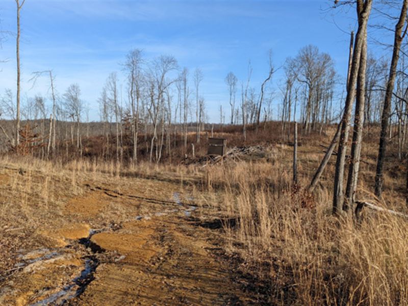 Ohio Land for Sale Vinton County : McArthur : Vinton County : Ohio