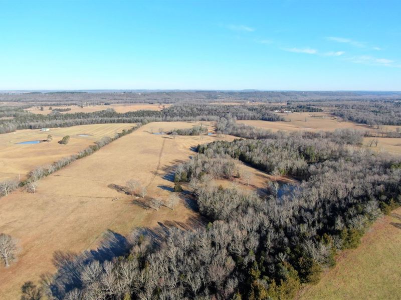 168 Acre Cadron Creek : Enola : Faulkner County : Arkansas