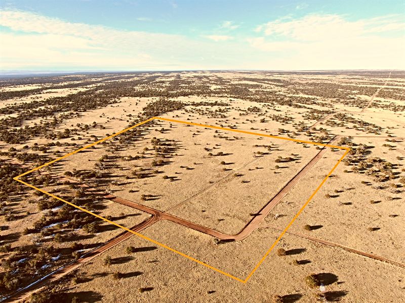 40 Ac Apache County, AZ $5600 Down : Saint Johns : Apache County : Arizona