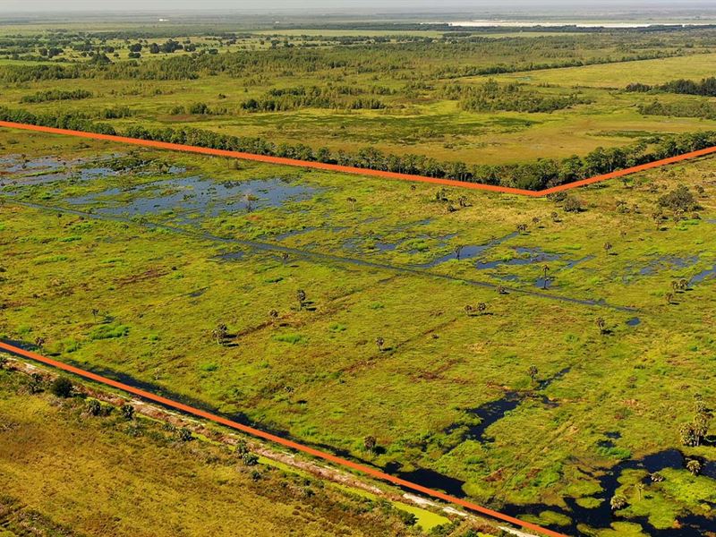 Basin 22 Wetland Mitigation Bank : Fellsmere : Indian River County : Florida