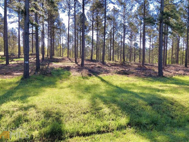 Acreage Near Madison, Tract 3 : Madison : Morgan County : Georgia