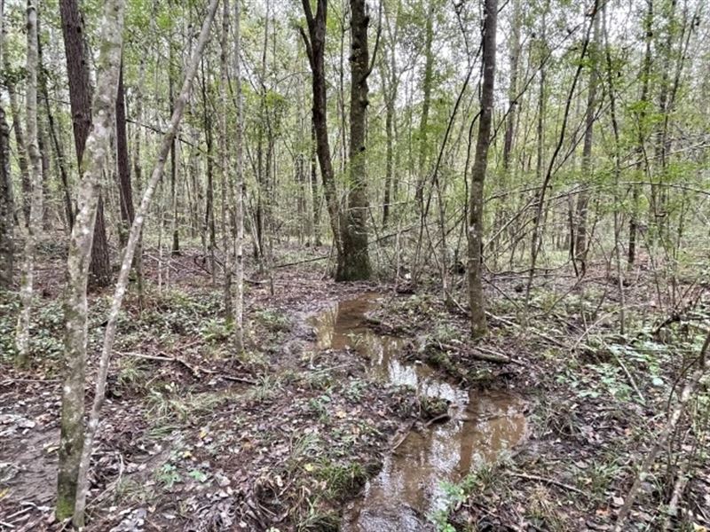 655 and 657 Corinth Road : Purvis : Lamar County : Mississippi