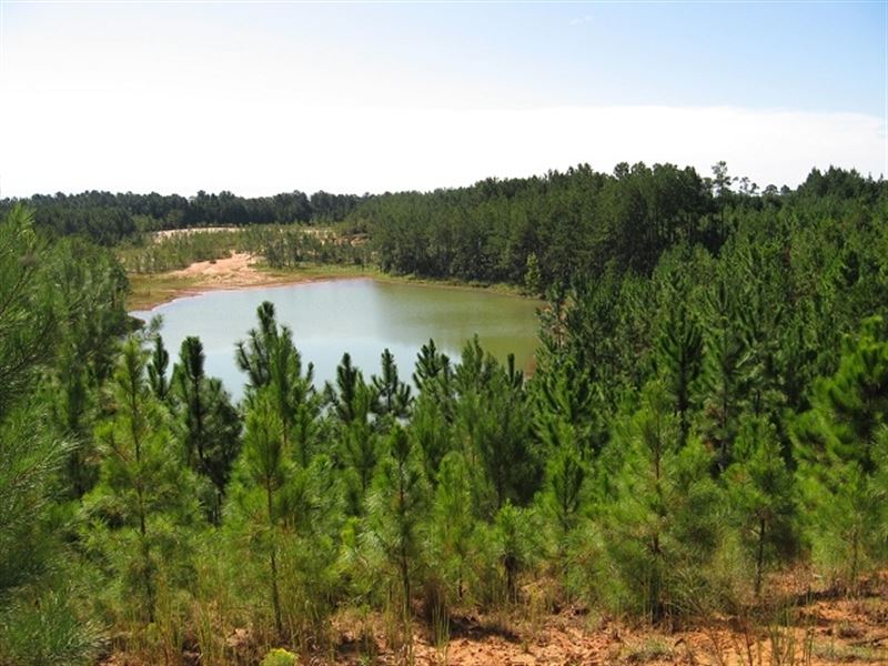 Borrow Pit Hill, East : Poplarville : Pearl River County : Mississippi