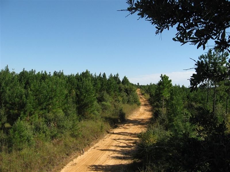 Borrow Pit Hill, West : Poplarville : Pearl River County : Mississippi