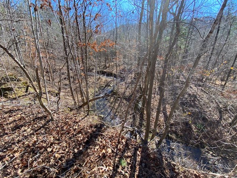 10 Acres, Cabin Sites : Centre : Cherokee County : Alabama