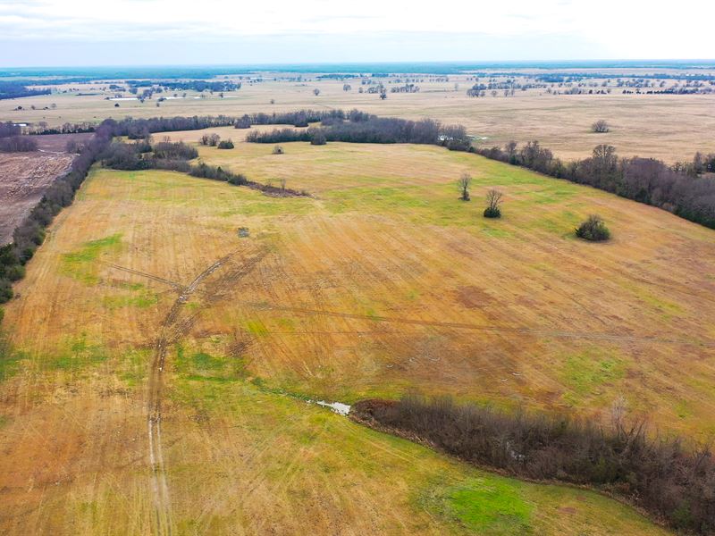 Ranch Land for Sale Clarksville, TX : Clarksville : Red River County : Texas