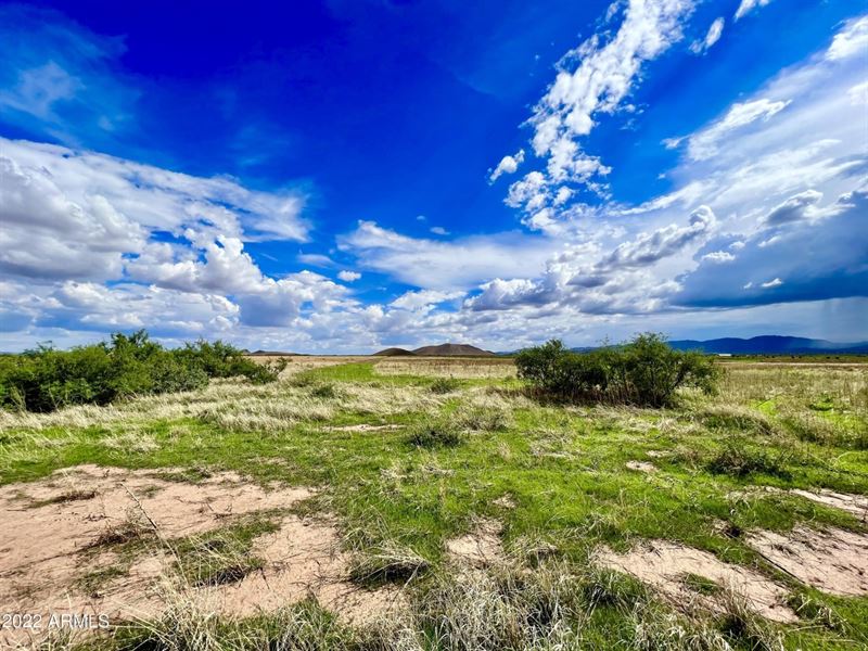 Send Best Cash Offer, Farm, Build : Sunsites : Cochise County : Arizona