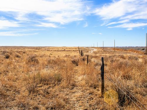 40 Acres, Rv / Mobile Home Lot : Las Animas : Bent County : Colorado
