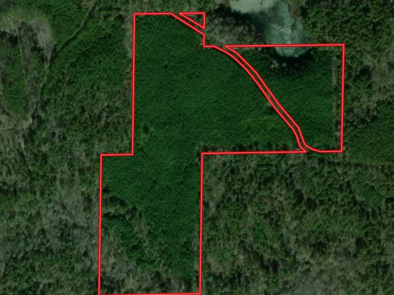 80 Acres in Choctaw County in Acker : Ackerman : Choctaw County : Mississippi