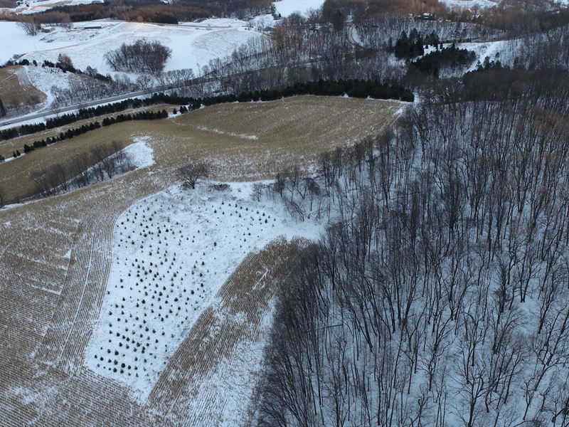 46.6 Acres, Eau Claire County : Eleva : Eau Claire County : Wisconsin