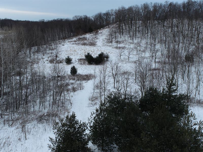 46.7 Acres, Eau Claire County : Eleva : Eau Claire County : Wisconsin