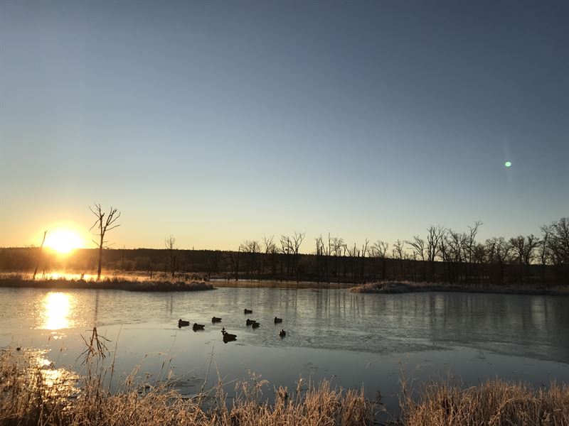 Hunting, Cattle Ranch, Lake, Views : Daisy : Atoka County : Oklahoma