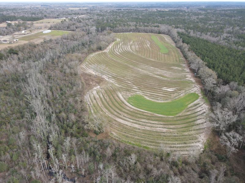 40 Acres Cr32 : Opp : Covington County : Alabama