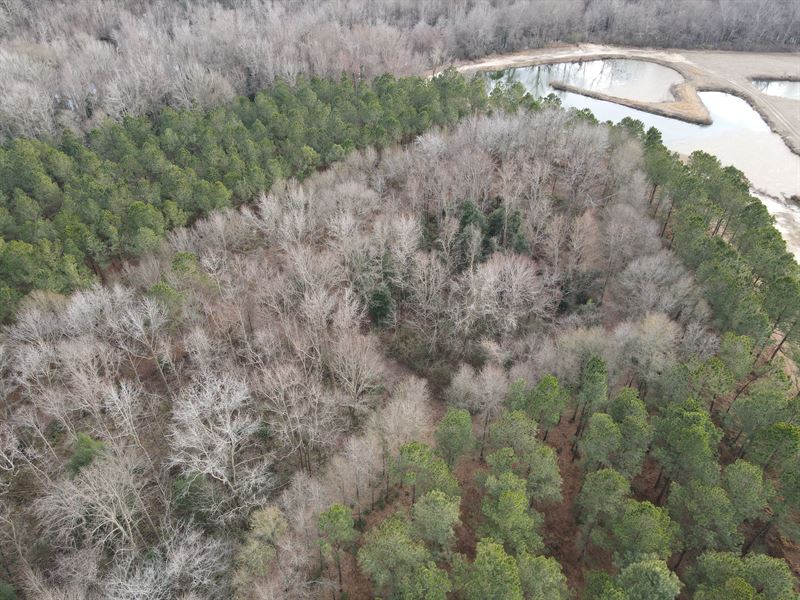 Exceptional Recreational Tract : Elm City : Wilson County : North Carolina