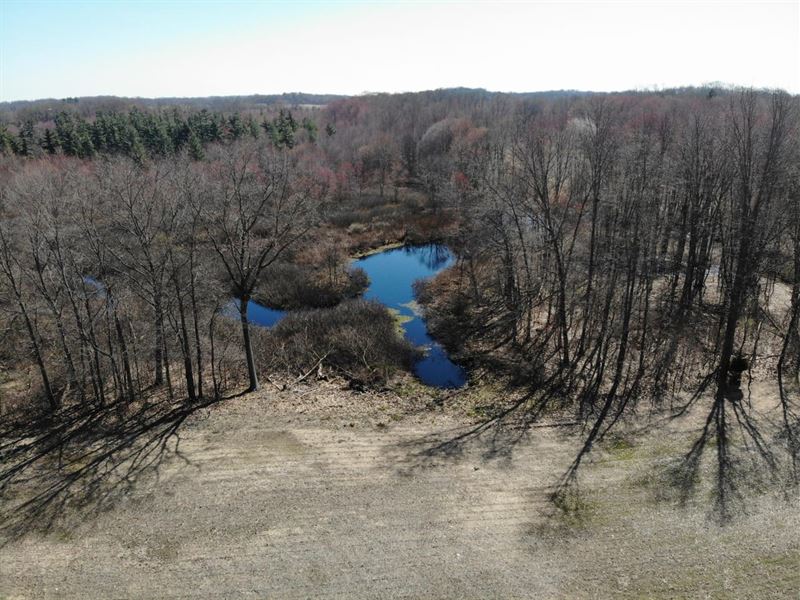 Van Buren County 69 Acres : Marcellus : Van Buren County : Michigan