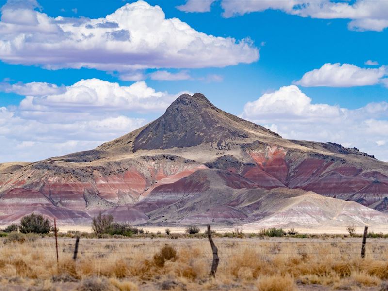 $6,000 Down, Seasonal Spring : Joseph City : Navajo County : Arizona