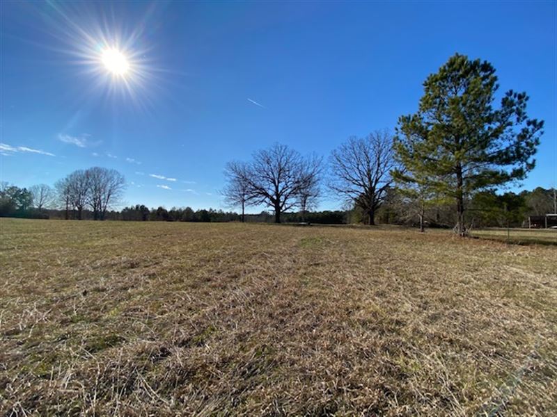 13 Acre Mini Farm : Ashville : Saint Clair County : Alabama