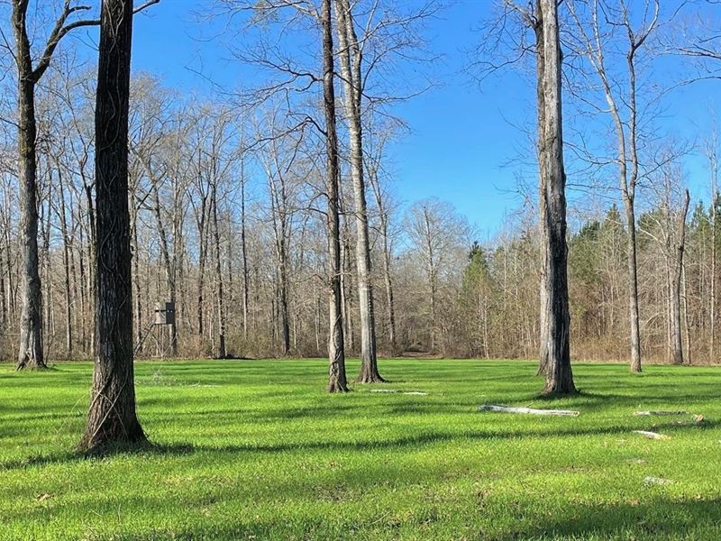 314 AC in Noxubee County, MS : Macon : Noxubee County : Mississippi