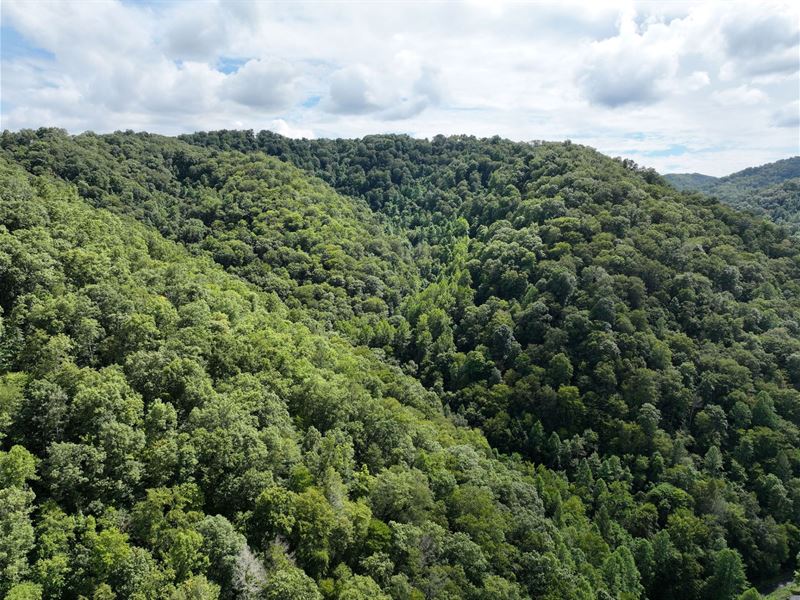 37.6 Ac in McDowell County, WV : Panther : McDowell County : West Virginia