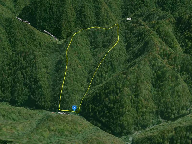 37.6 Ac in McDowell County, WV : Panther : McDowell County : West Virginia