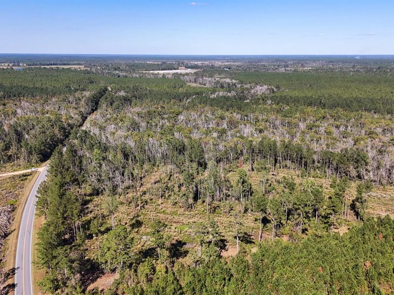 Hurricane Creek North Tract : Alma : Bacon County : Georgia