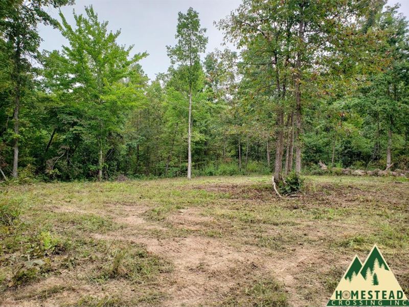 Near State Land & Current River Ranch for Sale by Owner in Jadwin